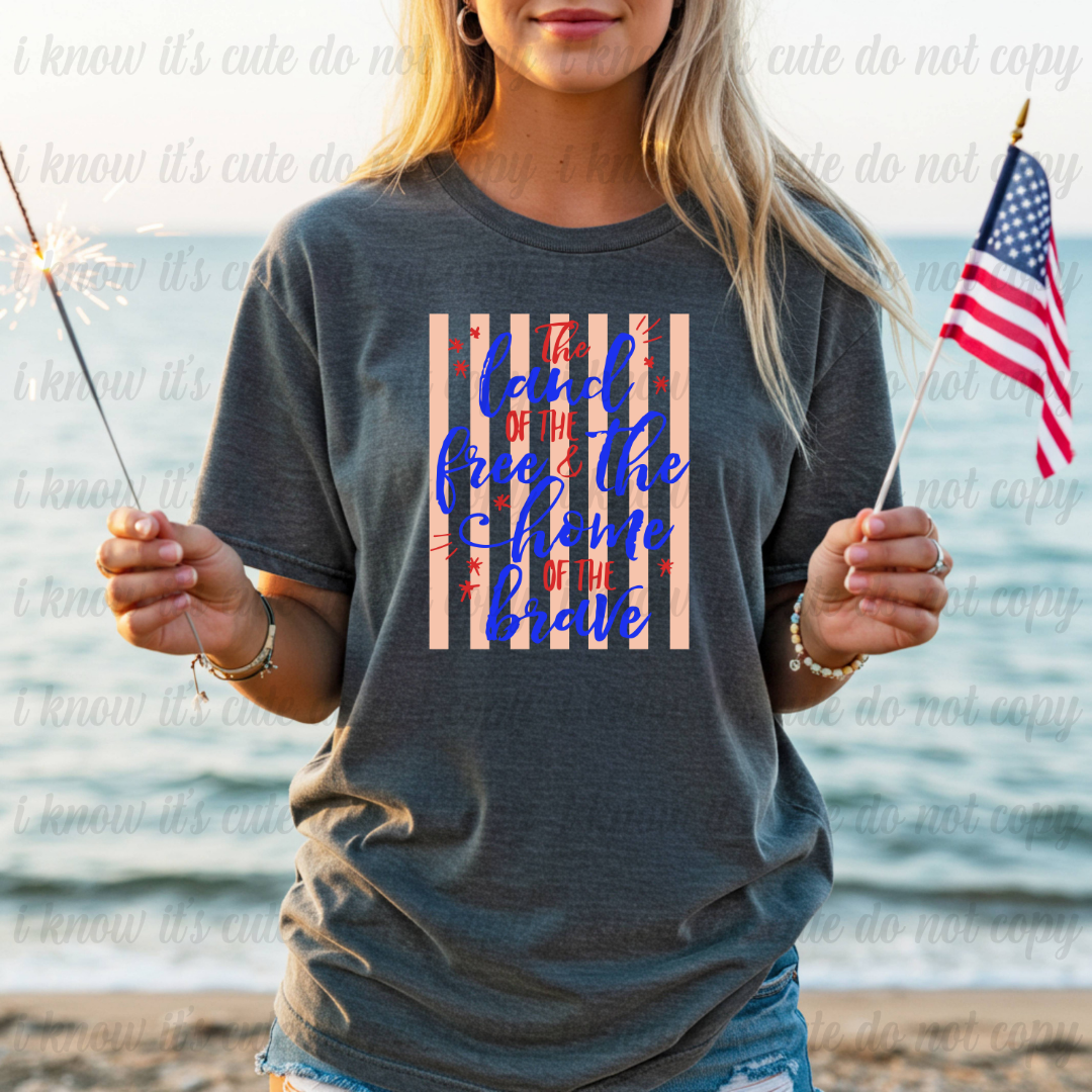Land of the Free T-Shirt